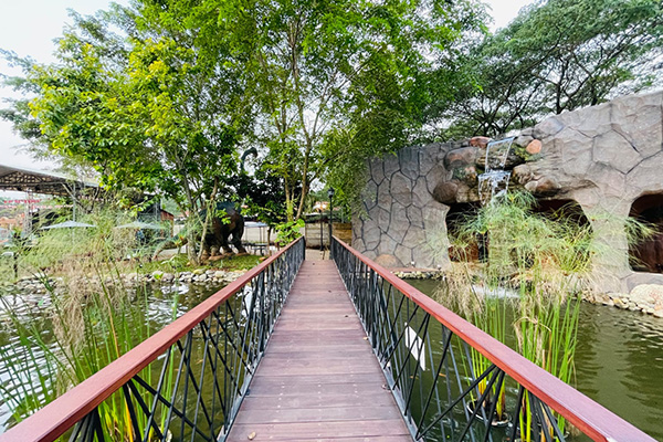 dinonesia img (5) dinonesia img (5)